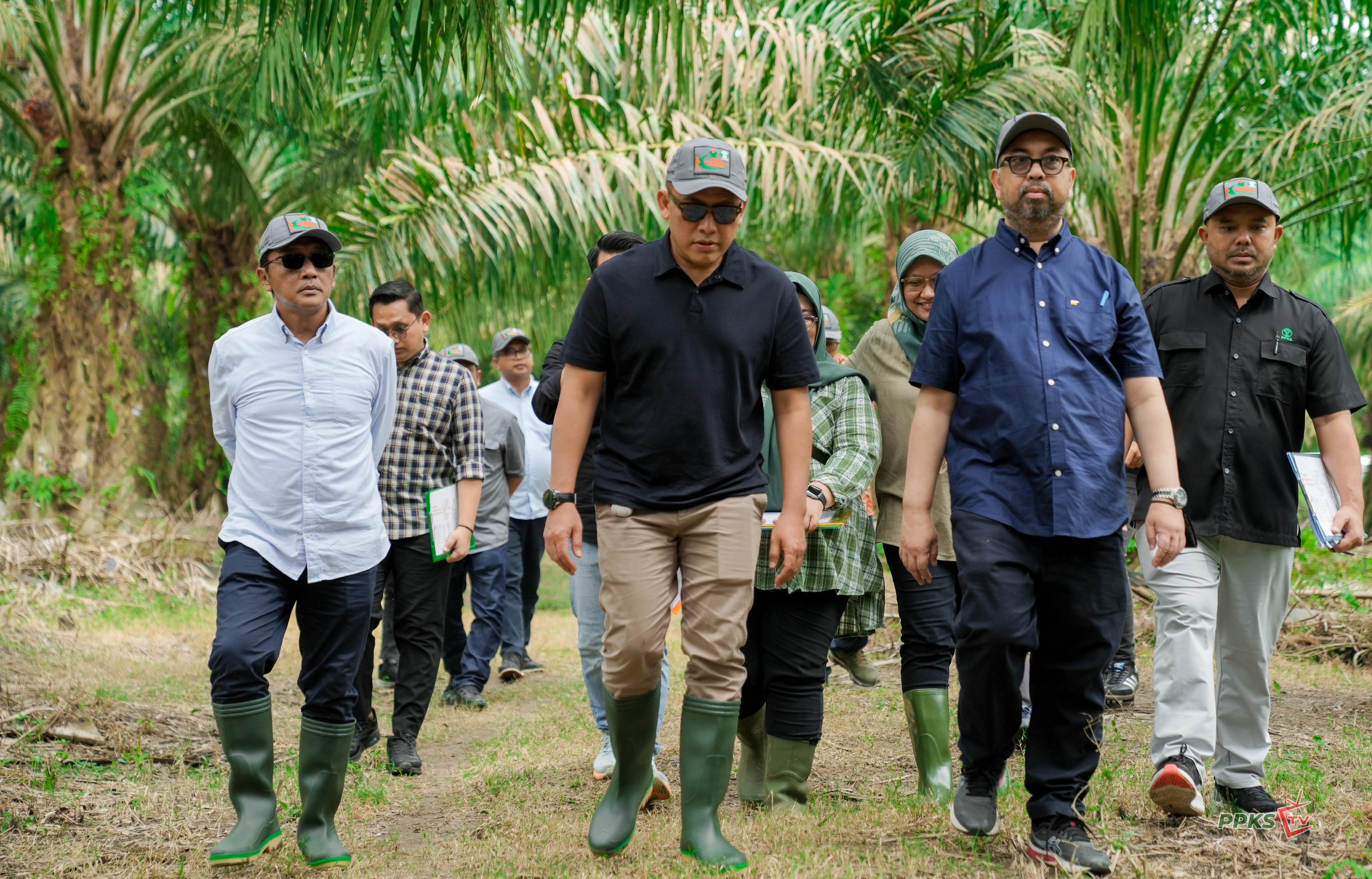 Kunjungan Direktur Utama PalmCo ke Kebun Percobaan NUSAKlon PT RPN PPKS : Dorong Produktivitas dan Inovasi Berkelanjutan