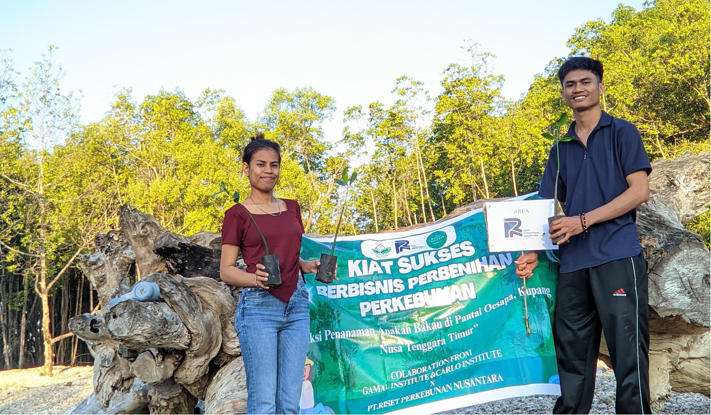 PT RPN Dukung Rehabilitasi Ekosistem Pantai Kupang :  Hijaukan Pesisir, Tanam 100 Pohon Bakau