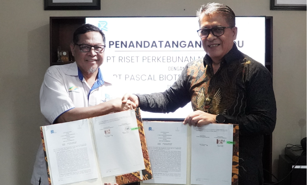 Kolaborasi Inovasi Perkebunan: PT Riset Perkebunan Nusantara dan PT Pascal Biotech Indonesia Tandatangani Nota Kesepahaman