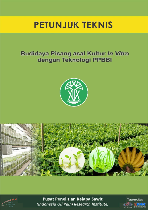 Budidaya Pisang asal Kultur In Vitro dengan Teknologi PPBBI