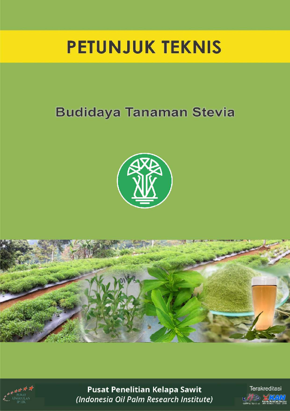 Budidaya Tanaman Stevia